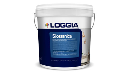 Siloxane paint