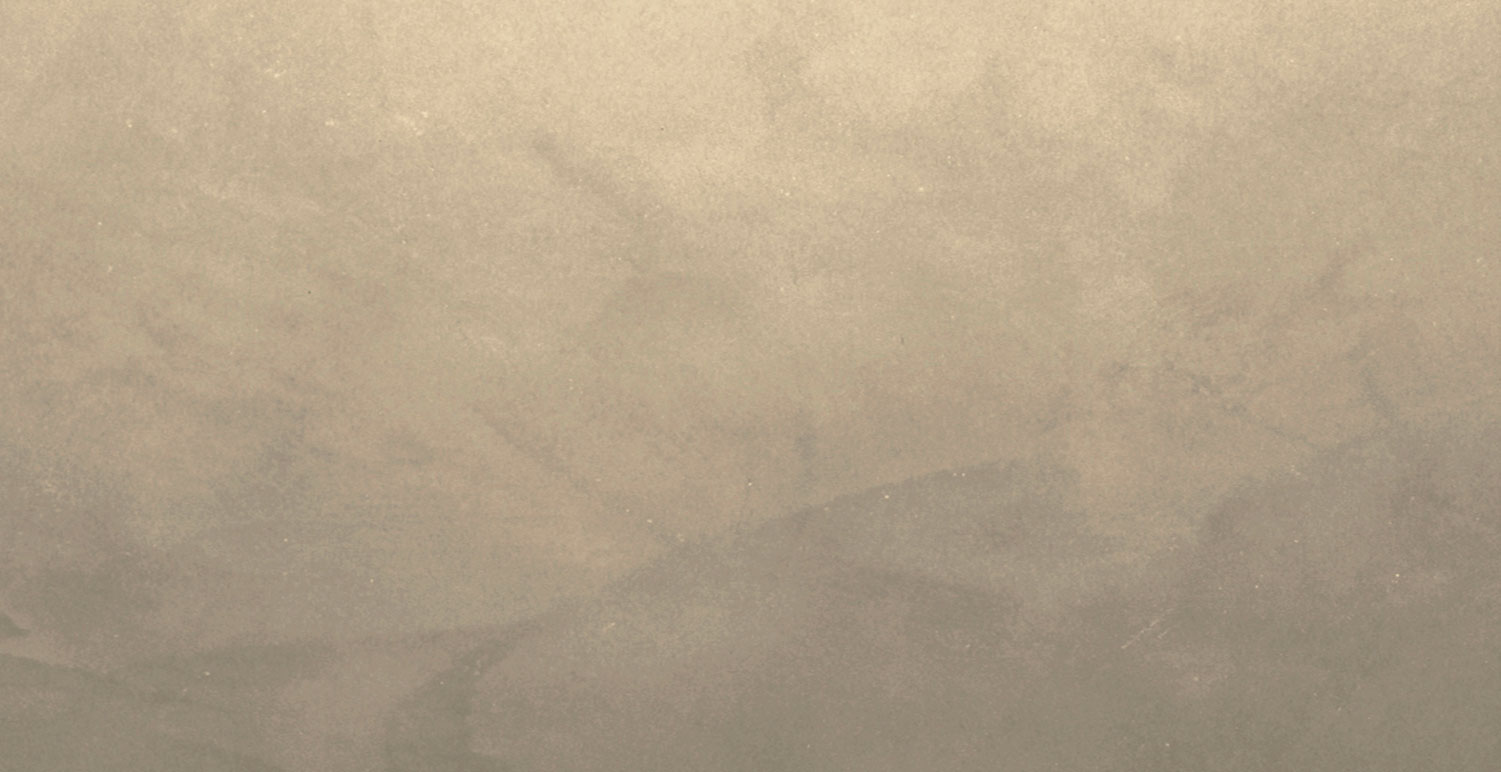 PAST-4