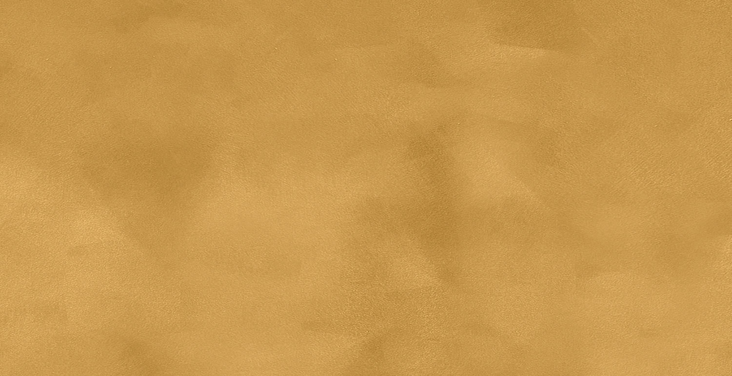 PAST-4