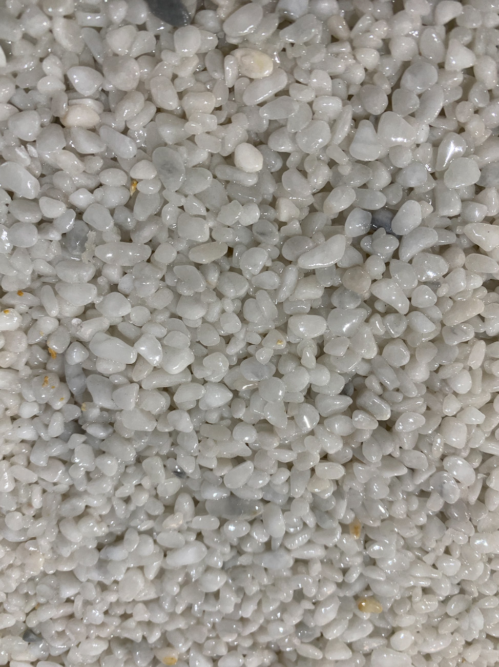 6draining carpet